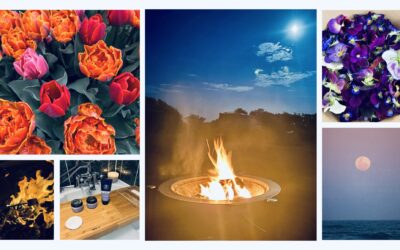Between Spring & Summer – The Energy you can’t ignore